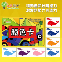 Duman Flash Card Color Cards 20 Brightly Colours Bilingual Learning Early Education Right Brain Development