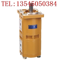 Hefei Changyuan Hydraulic Co. Ltd. CBQL-E563 550 540 530 F520 532 525 Forklift gear pump