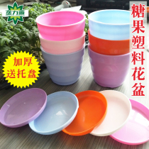 Table top planting flower seed pot multi-meat colorful environmental protection plastic small flower pot resin flower pot with tray Roman pot