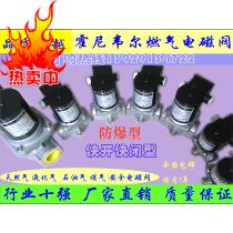 Honeywell Solenoid VE4015A1146 VE4015A1005 Solenoid Solenoid Valve VE4025A1210 Direct