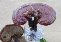 Yunnan semi-wild grown dried Ganoderma Lucidum Sessile red Ganoderma Lucidum 500 grams 1 catty Nyingchi red Ganoderma lucidum non-Changbai Mountain Ganoderma