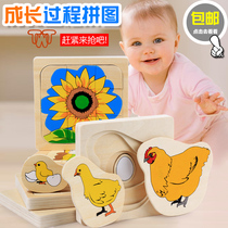 The growth process of Montessori early Education puzzle Childrens puzzle Multi-layer puzzle Baby toy hand grab board Kindergarten