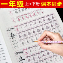 The second volume of the first grade Chinese textbook is synchronized to practice the copybook for beginners.