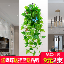 Simulation plant wall hanging basket fake flower Vine Vine green plant indoor balcony living room wall decoration green canthus