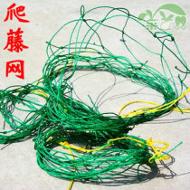 4 types of specifications gardening climbing vines Cucumber Silk Melon Hyacinth Climbing and matching this shop Scaffold Bag Effect