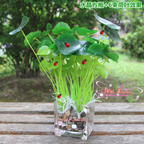 Simulation plant potted green plant dining table desk Interior decoration Living room net red small ornaments vase fake flower small bonsai