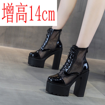 15cm mesh yarns Martin boots Women Summer thin Breathable Coarse Heel Hollowed-out Short Boots Summer Cool Boots Ultra High Heel 14 cm