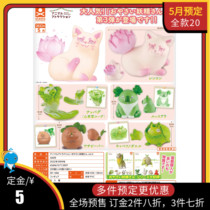 May Scheduled stastomy Egg Vegetable Elf Third Bullet Vegetable Baga Baga Vegetable Frog Lotus Root Fox Small Hands