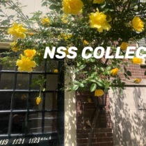 NSS COLLECTION postal fee difference special random auction speculative COLLECTION of non-cargo weight