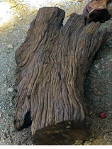 Solid wood home floor decoration courtyard decoration log Raw Material Design outdoor large tea table