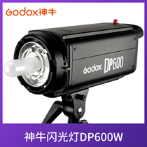 God Bull DP600W Shadow room Flash Photography Studio Flexo Light photo Photographic Light Clothing Photo-Photo Phototonic Light