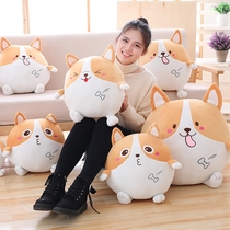 Ball Corgi pillow Corgi warm hand cover doll Down cotton dog couple pillow Ragdoll birthday gift