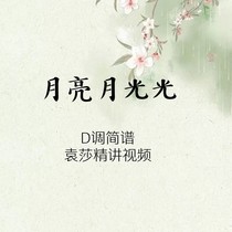 Moon Moonmoonlight Guzheng Spectral Spectral Spectral Video of Yuan Sasha Video