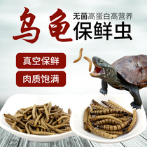 Tortoise grain non-living feed refreshing yellow flour worm bread worm barley worm shrimp dried fish dried turtle food turtle feed