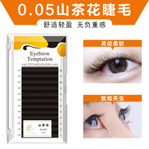 Manual flowering Black Mountain Tea Flower grafting false eyelash natural Dairy planting eyelash yourself grafting eyelashes