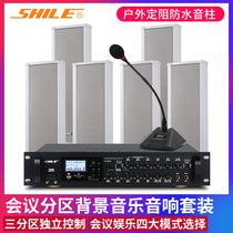 Lion Music AV8820 BX207 outdoor fixed resistance waterproof sound column training conference room audio shop amplifier sound box