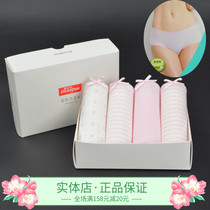 Four gift box butterflies womens underwear cotton print cute hipster girl boxed trousers 4880A