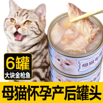 Mother Cat Postnatal Cat Canned Cat Cat Pregnancy Lactation Period Special Nutritional Pint Gestation Cat Cat Food Cat Mom Snacks