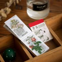 Retro sulfuric acid paper hand account notebook old and plant flower fruit mushroom butterfly hand account collage decorative material paper
