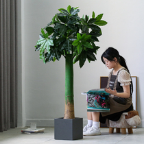 Roman Mom Indoor Living Room Pendulum Nordic Wind Large Emulation Green Planting Fortune Tree Potted Plant Bonsai