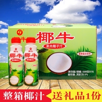 Coconut coconut milk 500ml * 15 bottled Hainan specialty pulp coconut milk summer beverage box