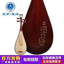 Beijing Xinghai professional pipa yellow sandalwood grade test performance sour branch wood pipa 8912-2