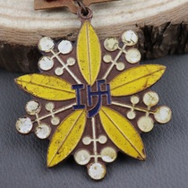 Red Collection Medal Military Medal Iron Medal Badge Badge Medal Anti-Japanese Medal 17