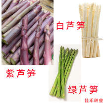 Asparagus seed White purple Asparagus perennial spring sowing balcony potted garden garden Four Seasons sown vegetable seeds
