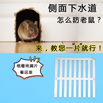 Sewer mouth baffle toilet side row floor drain sewer anti-rat hair 100 150 outdoor balcony row