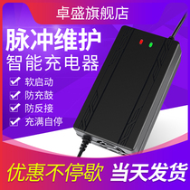 Automatic Shutdown Electric Car Battery Charger 48V12AH20AH60V64V72V New Day Love Maya DiTail