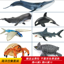 Simulation Marine flying fish toy animal model sperm whale hermit crab blue whale shark doll children gift whale