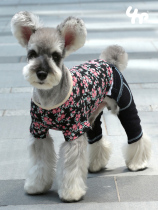 Unpet Bao dependents Pet clothes small crumbled short sleeves sports T-shirt full cotton comfortable elastic round collar blouse summer style