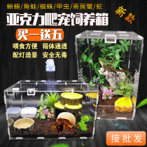 Crawler feeding box snail acrylic Spider Gulf horned frog hermit crab scorpion landscape pet creeper feeding box