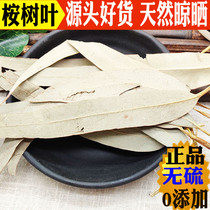 Eucalyptus leaf fresh 500 gr dried eucalyptus leaf honey bag Pure Eucalyptus Leaf Powder Deodorant Bacteriostatic Distaste Mat