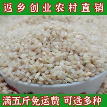 Brown rice New rice Brown rice 500g farm-produced sprouted rice germ rice Xuan rice rice rice porridge grains