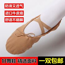 Childrens cat claw shoes Adult ballet dance shoes Camel yoga shoes Girls body shoes Dance shoes Soft-soled practice shoes