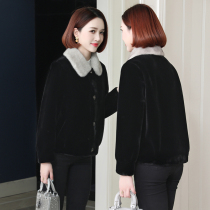 zqqz gold mink fur jacket women fashion temperament Haining short mink wool collar sheep cut coat D434