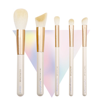 Skinstar Light Series makeup brush eye shadow brush stereo high gloss brush nasal brush brush novice makeup brush