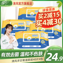 Breeze wet toilet paper Family affordable wet toilet towel Clean the private toilet flushable toilet wipe your ass Clean toilet wipes