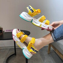 Dadong sandals womens 2020 Summer New wear thick soled Velcro soft non-slip ins casual beach sandals