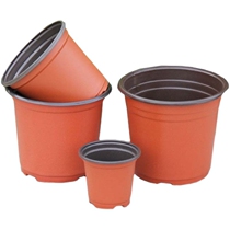 Thickened disposable bicolor flower pot nutrient bowl seedling basin breeding potted plant green plant multi-meat plastic flower pot cuttage