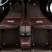 2019 Years Haval H4 Smart Edition Foot Pad Special Encyclopedia Surrounded by Blue and Red Standard 19 Great Wall Harvard Cars