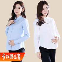 Maternity shirt short mom loose spring and autumn frock long sleeve white OL professional blue formal work clothes shirt
