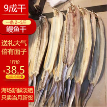 Fishermen self-drying Beihai deep-sea large-scale dried sea eel dried sea fish dried seafood dried dried 500g