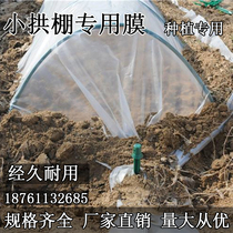 White plastic film small arched shed film new material vegetable planting insulation humidification agricultural waterproof building