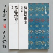 Xuan Society China Law Book selection 25 26 Tombs Set up and down Japan Import copybook bookstore