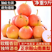 Liaoning Anshan South Fruits Pear 9 Cati Pears When Season Fresh Fruits South China Permalink Pears Northeast Special 5