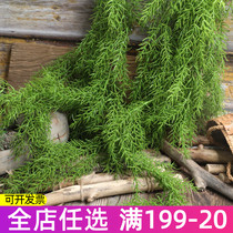 Fake flower emulated leaves hand felt pine needle hanging vine hanging basket suspended ceiling vine scenery micro-landscape exit plant decoration