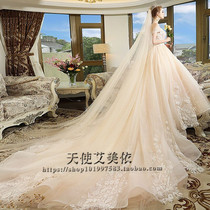 Romantic champagne naked yarn Joker wedding dress with veil soft yarn warm color