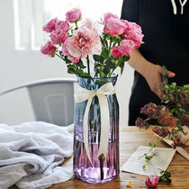 Nordic minimalist vase small frescoed flower arrangement glass bottle water bacon vases living room table decoration bottle